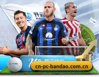 cn-pc-bandao.com.cn的故事